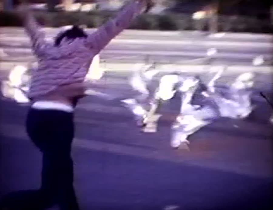 A kid scattering seagulls in a beach parking lot